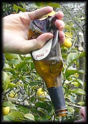 Risultat: eine erstklassig verformte glaeserne (!!) Bierflasche!