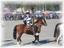 Fiesta Patrias